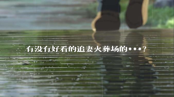 有没有好看的追妻火葬场的***？