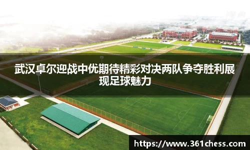 武汉卓尔迎战中优期待精彩对决两队争夺胜利展现足球魅力